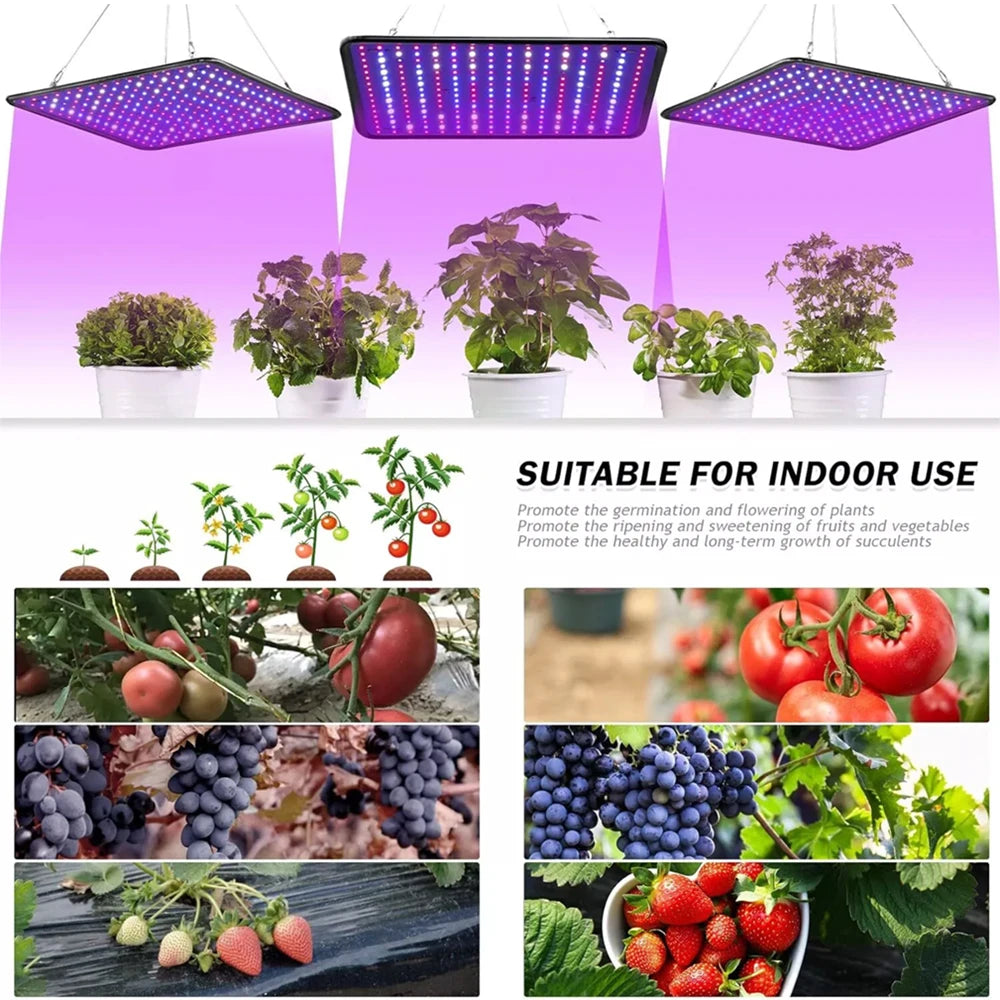 LED Plant Lights Full Spectrum35W 1200W Options, with Veg & Bloom Switch Suitable for Indoor Hydroponic Plants Vegetables Flower