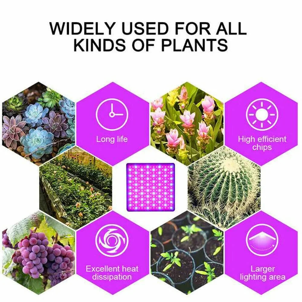 LED Plant Lights Full Spectrum35W 1200W Options, with Veg & Bloom Switch Suitable for Indoor Hydroponic Plants Vegetables Flower